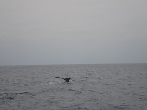 201512272