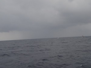 201512311