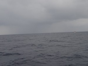 201512312