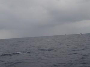 2015123123