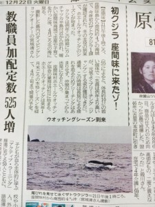 ホエール