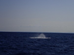 201601021