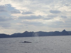 201601022