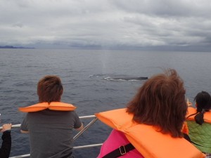 20160106whale01