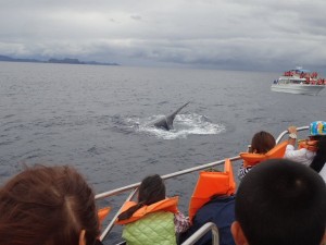 20160106whale02