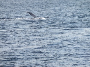 20130102002.jpg
