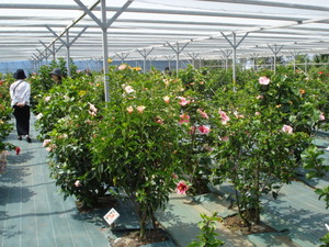 DSC02762.JPG