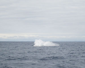 blog_015.jpg