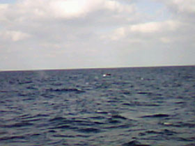blog_307.jpg