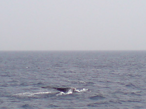 blog_397.jpg