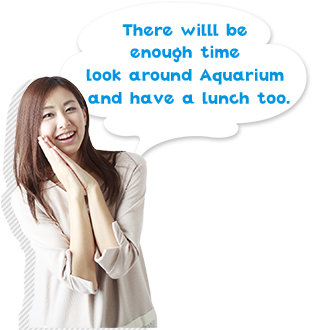 There willl be enough time look around Aquarium and have a lunch too.