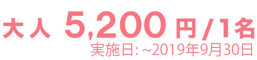 大人 5200円 / 1名