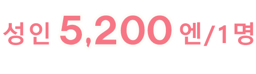 성인5,200엔/1명