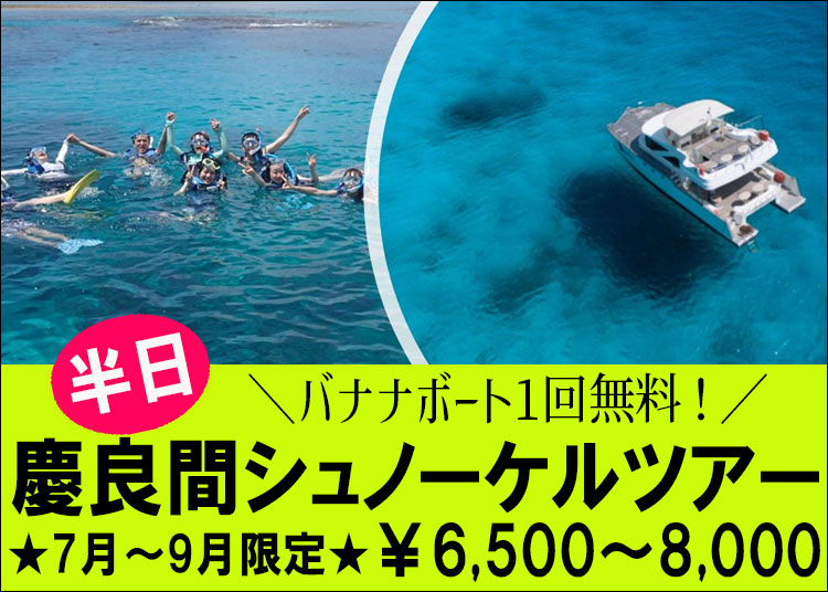慶良間半日シュノーケリングツアー