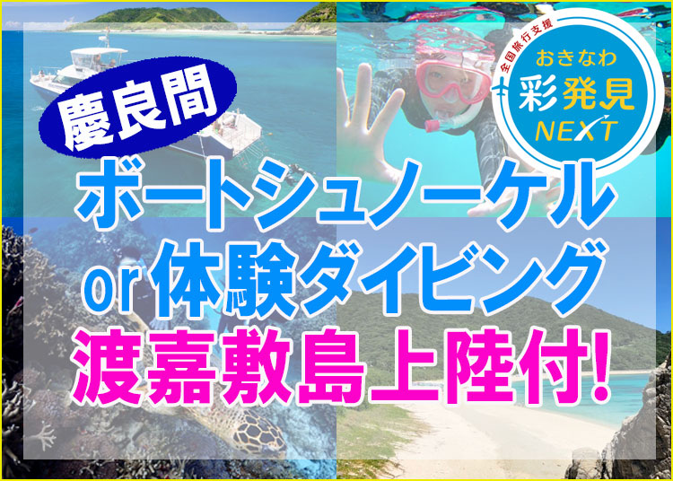訳あり品送料無料 未開封 セル新品 Blu-ray virtual trip 沖縄 慶良間 ニライカナイ コーラルアイランド 美ら島 ダイビング  diving 東シナ海 BD VT