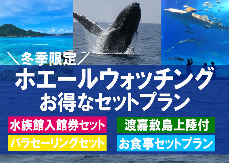 沖縄ホエールウォッチングツアー