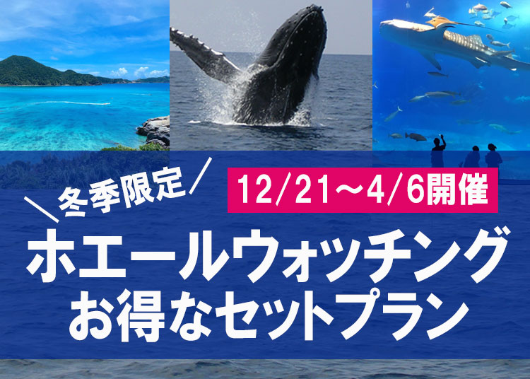 お得なホエールウォッチングセットプラン