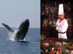ホエール&サムズ
