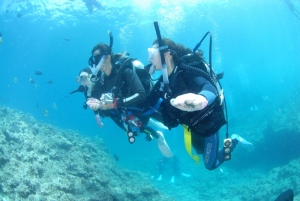 nahaseaside-dive3