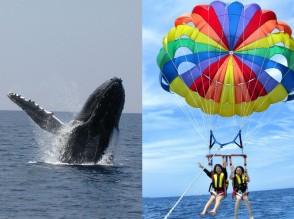 whale＆para