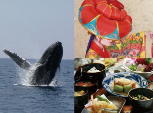 ホエール&うらしま