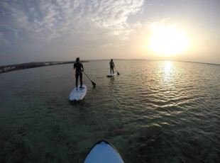 DCIM100GOPROGOPR2068.