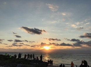 IMG_0595