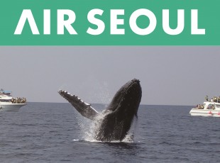 AirSeoul_Whale