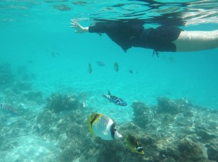 DCIM100GOPROGOPR4192.