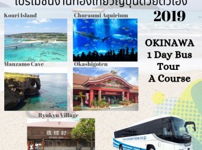 OKINAWA 1 Day Bus Tour A Course