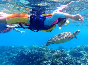 日帰り離島ツアー 沖縄のオプショナルツアーはセルリアンブルー