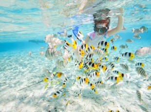 Woman snorkeling with fish