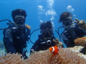 宮古諸島 沖縄のオプショナルツアーはセルリアンブルー