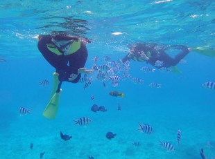pink_snorkelling1