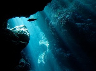 pinkmarlinclub_sea_4