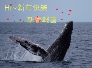♡クジラ