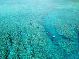 P Snorkeling (5)