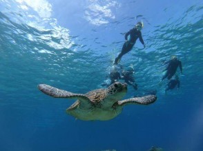 P Snorkeling (6)