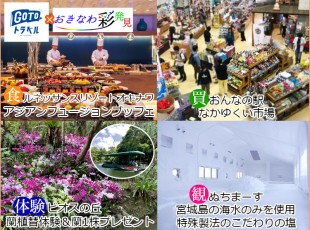 gotoトラベル事業支援対象 おきなわ彩発見 ルネッサンスリゾートランチ付 ビオスの丘 蘭の植替体験 蘭一株付 ぬちまーす ルネッサンスリゾート ランチブッフェ ビオスの丘 おんな道の駅 沖縄いいとこ再発見 本島中部観光バスツアー お支払い実 gotoトラベル事業支援対象 おきなわ彩発見 ルネッサンスリゾートランチ付 ビオスの丘 蘭の植替体験 蘭一株付 ぬちまーす ルネッサンスリゾート ランチブッフェ ビオスの丘 おんな道の駅 沖縄いいとこ再発見 本島中部観光バスツアー お支払い実