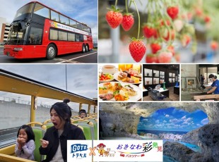 gotoトラベル事業支援対象 おきなわ彩発見 いちご狩り40分食べ放題 サザンビーチホテルでオーシャンビューランチ ビュッフェ dmm水族館チケット 琉球ガラス村で素敵なプレゼント付 お支払い実額 3 750 沖縄のオプショナルツアーセルリアンブルー gotoトラベル事業支援対象 おきなわ彩発見 いちご狩り40分食べ放題 サザンビーチホテルでオーシャンビューランチ ビュッフェ dmm水族館チケット 琉球ガラス村で素敵なプレゼント付 お支払い実額 3 750 沖縄のオプショナルツアーセルリアンブルー