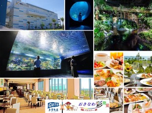 DMM+サザンビーチ食事 半日