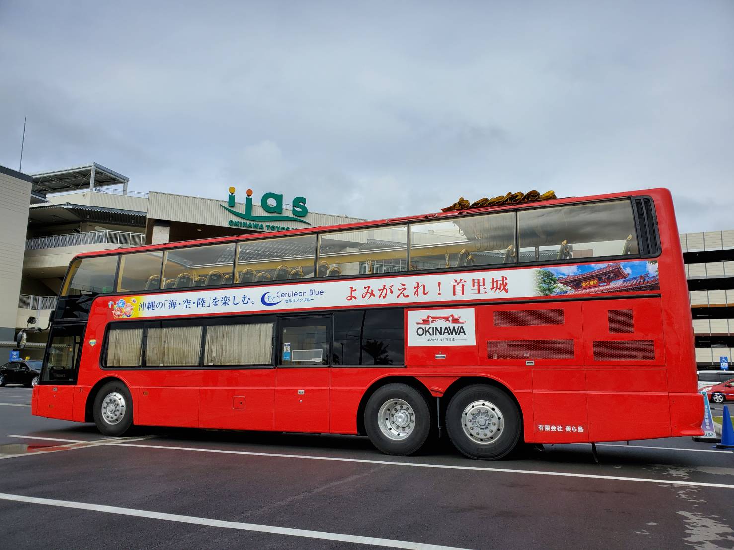 【Open Every Weekend of Mar＆Apr】Okinawa's First Open Top Bus
