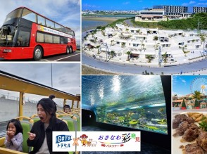 Okinawa Optional Tour Cerulean Blue Okinawa Optional Tour Cerulean Blue