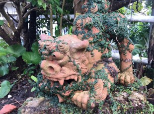 LINE_ALBUM_1224 中村家_荻道、大城_211226_16