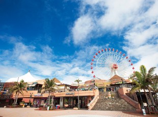 10月以降の予約はこちら 那覇 北谷発 北部観光 美ら島終日観光 バスツアー Cコース 美ら海水族館 古宇利島 御菓子御殿 万座毛 映画のオープンセットのようなリトルアメリカ 北谷アメリカンビレッジ 5680 沖縄のオプショナルツアー