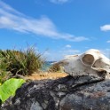 LINE_ALBUM_05112022 前島_221215_15