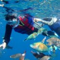 P Sesoko Snorkeling (2)