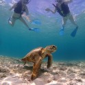 Snorkeling 01