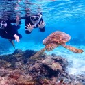 Snorkeling 03
