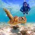 Snorkeling 05